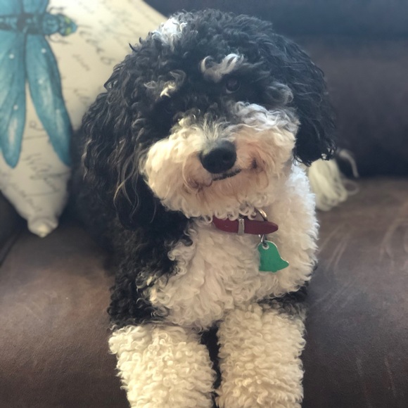 Meet your Posher, Jeana - Picture 1 of 1